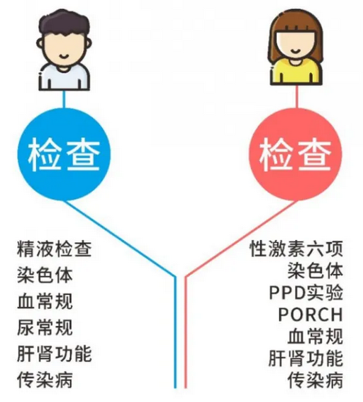 试管前期检查费用得多少钱