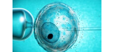 胚胎移植注意事项