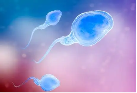 怎么知道自己的精子有问题？