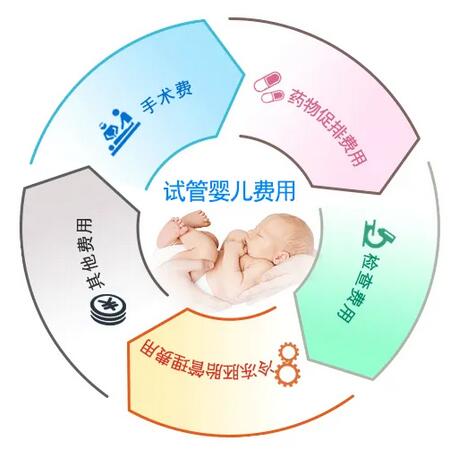 试管婴儿费用多少钱?如何计算?成功率多少?