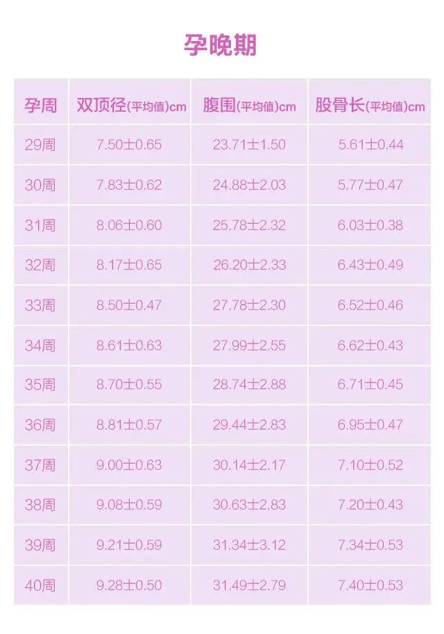 胎儿b超周体重数据标准对照表
