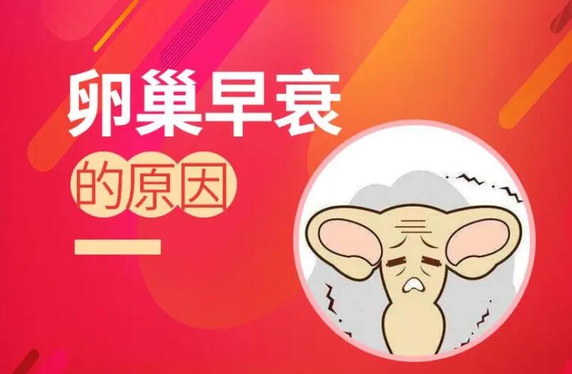 女性卵巢早衰打美思满胎盘素治疗管用吗?