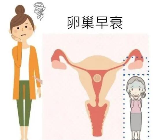 36岁卵巢早衰还能自然怀孕生孩子吗?预防卵巢早衰的方法！