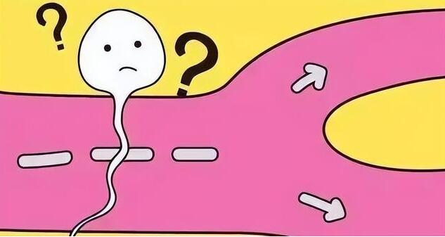 什么是无精症?无精子症如何治疗?备孕男性怎样提高精子质量?