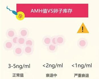 AMH多少算卵巢早衰?来看看不同年龄段正常范围是多少?