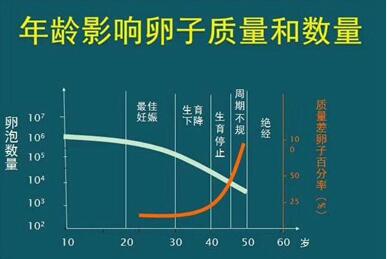 增加卵泡质量和数量的方法有哪些