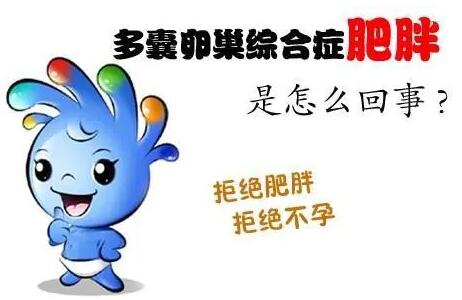 多囊卵巢综合症禁忌有哪些?五大禁忌多囊者不可碰!