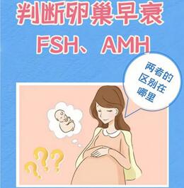 AMH值多少为卵巢早衰?各年龄段的详细介绍在这里!
