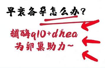 高龄备孕家庭请注意!辅酶q10可帮助科学改善女性卵巢