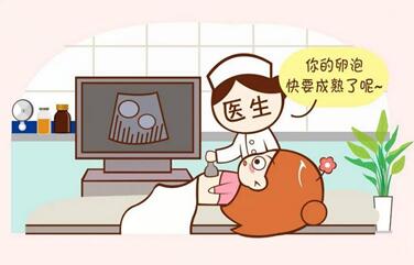 2023年男性做婚前检查要多少钱?男性婚前检查19项!