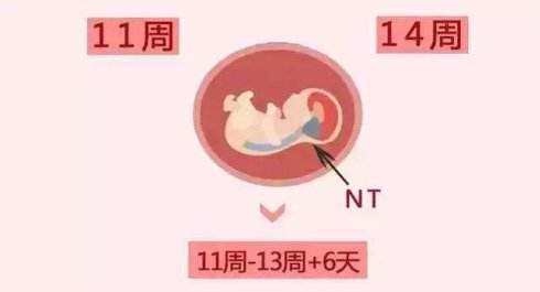 安全期同房会怀孕吗?什么方式会降低受孕几率?