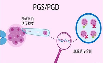 三代试管pds筛查技术的标准是什么?第三代试管要有几个胚胎筛选才好?