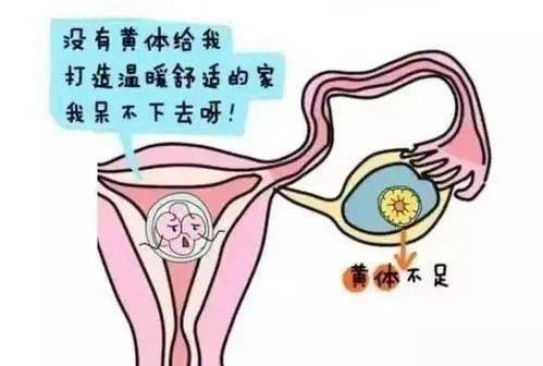 卵巢功能衰退多年做试管婴儿还来得及怀孕吗?
