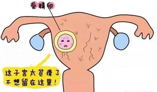 38岁高龄女性备孕二胎生女孩几率大的方法有哪些?一定要牢记这4点!
