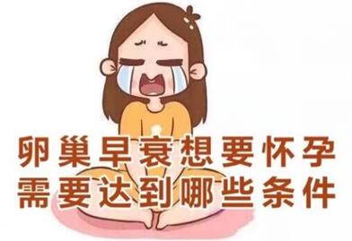 卵巢早衰不知还会怀孕吗?如果中西治疗无效可以尝试试管吗?