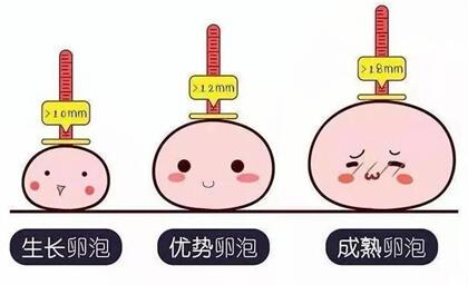 备孕服用辅酶Q10可以提高卵泡质量吗?怎样能促进卵泡发育?