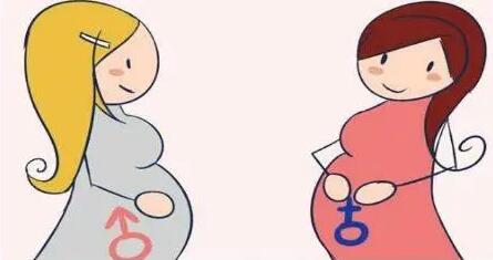33岁女性受孕生男孩子孩的几率大还是女孩?