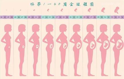 怀孕1一40周检查项目,这些重要产检可别错过!