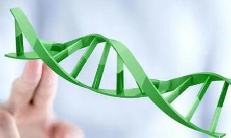 孕前基因检测主要是检测什么项目,惯性流产、男性不孕均在其中!