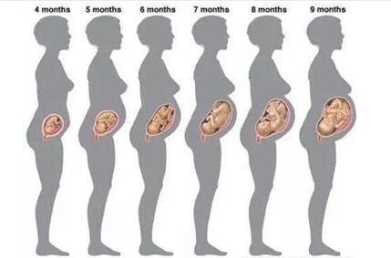 孕期1到10个月检查表,孕期检查时间和项目一定要搞清!