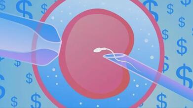 北医三院试管婴儿胚胎移植一次需要多少钱?