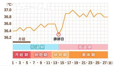 女人的排卵期怎么算才准确?抓紧时间备孕!