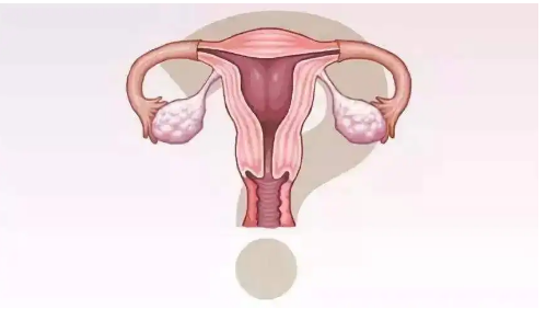 输卵管直径的正常范围是多少？
