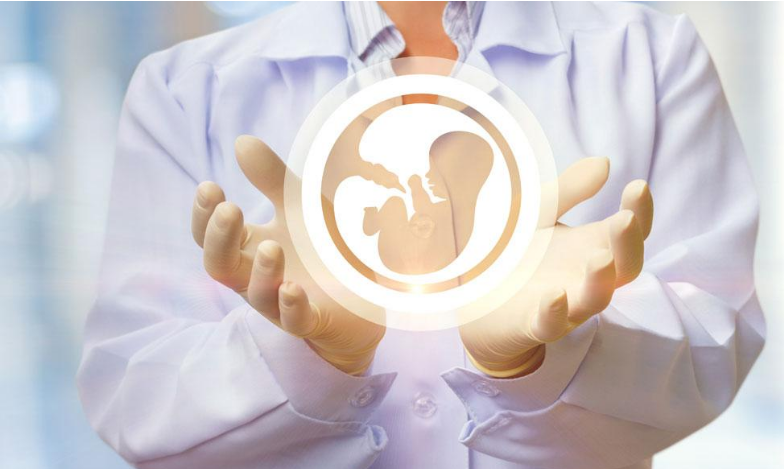 胚胎培养和移植的方法