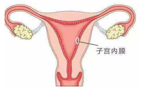当输卵管有问题时，该怎么办？