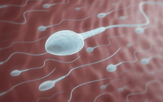 有哪些常见精子问题？