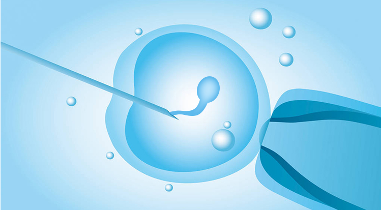 胚胎移植后试管婴儿着床多久