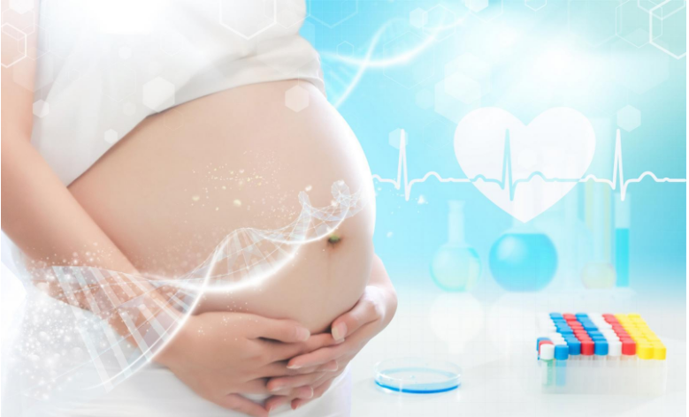 胚胎移植过程如何进行