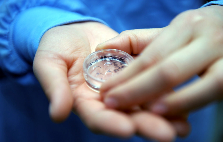 胚胎培养是什么意思？