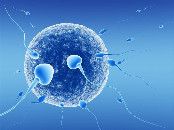 完美精子算什么精子？男人该如何保护好精子？