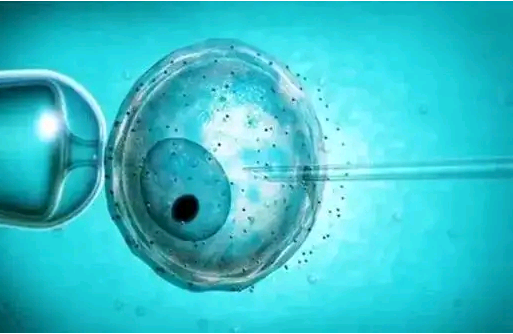 促排卵对女性卵泡发育不好有效吗？