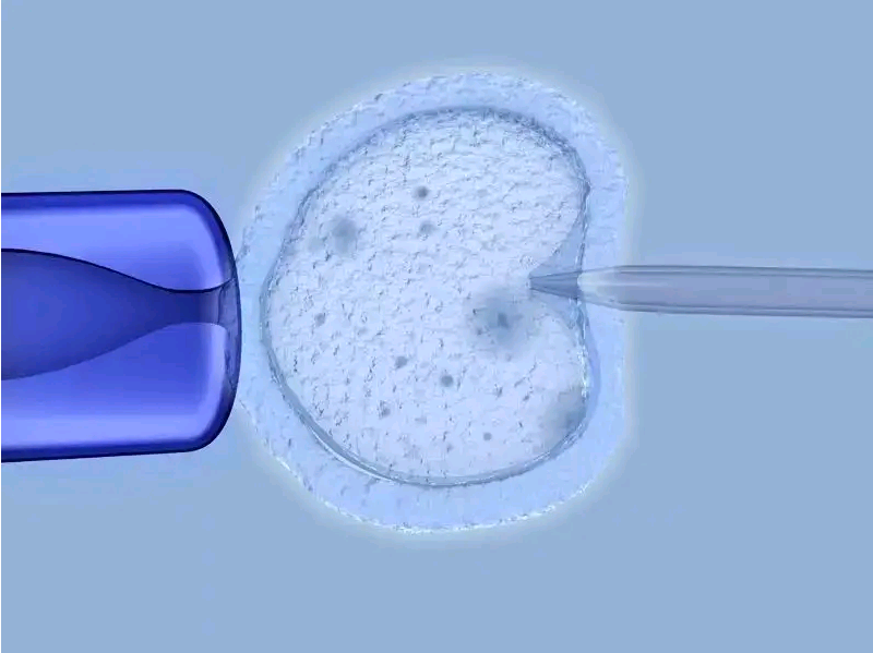 试管婴儿移植成功后如何保护胎儿？