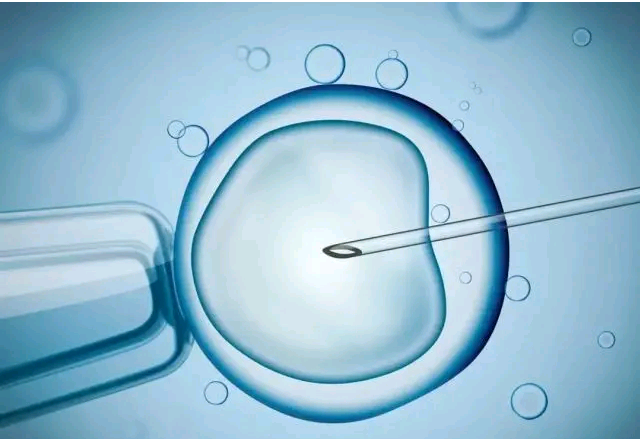 为什么要对胚胎进行评级
