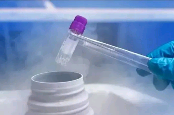 黄体酮在胚胎移植后怎么用？