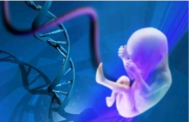 胚胎移植成功后如何护理