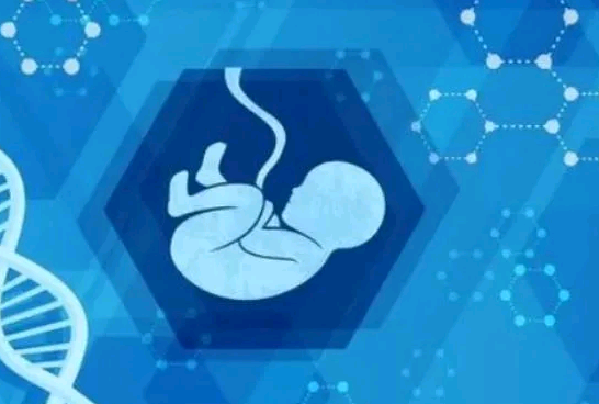 子宫萎缩可以做试管婴儿吗？