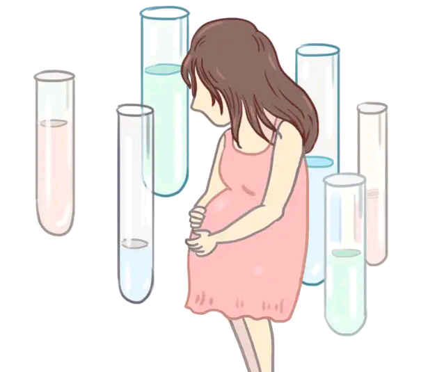 养囊是否需要三级胚胎？