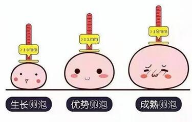 不孕不育试管婴儿医院