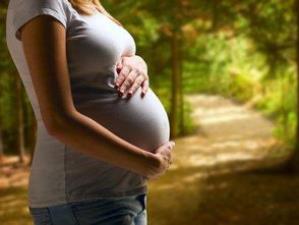 试管婴儿的孕周应该怎么计算