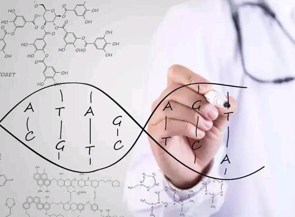 第一代试管技术能否优化精子质量？附成功率与精子质量之间的关系