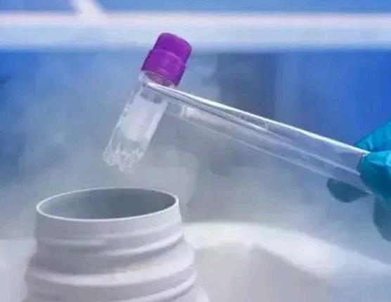 什么时候排卵期最容易怀孕