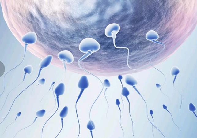 如何通过试管助孕，精子DNA碎片率高？了解优势分析！