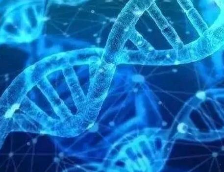 hpv四价多少钱一针,需要打几针